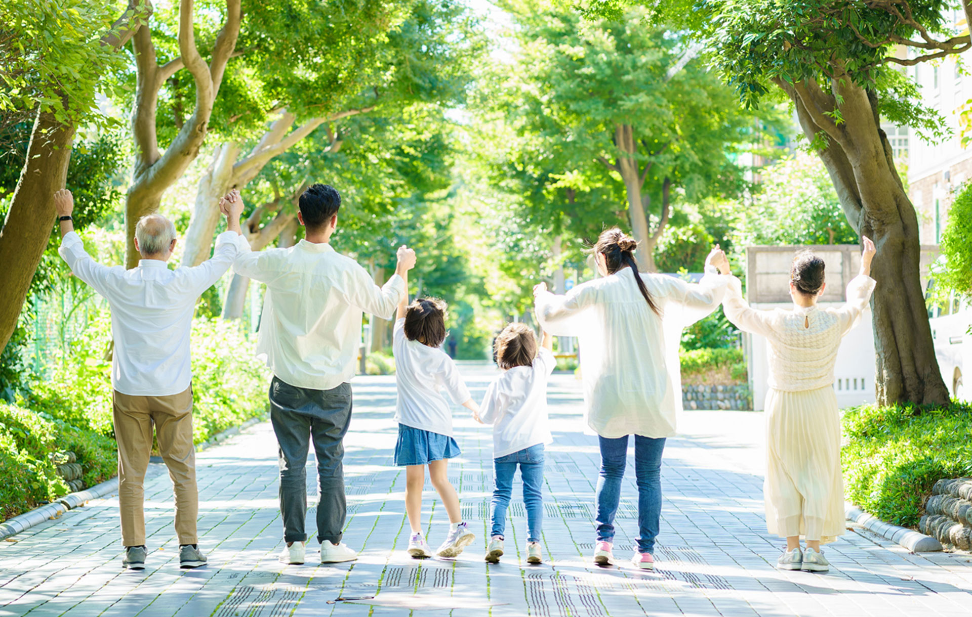 生前対策業務イメージ_04